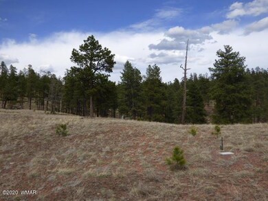 Lot 5 The Ranch at Alpine (1)