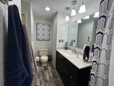 668 Union Hill Rd, Mammoth Spring, AR 72554 - photo 7