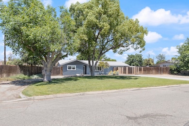 Iris Ave-4