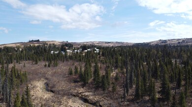 DJI_0007