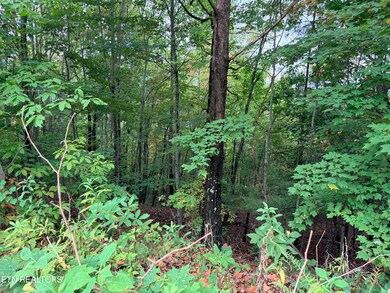 Lot 192 Clinch View Rd, New Tazewell, TN 37825 - photo 5