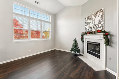 2227 Waterleaf Ct unit 203, Naperville, IL 60564 - photo 4