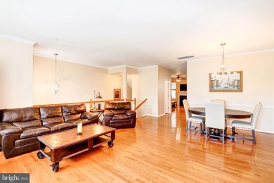 23209 Scholl Manor Way, Clarksburg, MD 20871 - photo 5