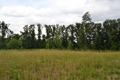 0 Red Williams Rd, Crossville, TN - photo 4