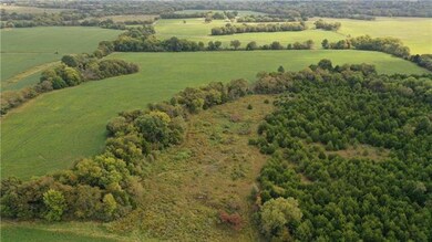 Looking east.  Bean fields to the left and top.  T