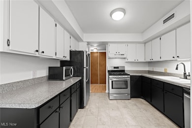 1105 Canyon View Rd unit 106, Northfield, OH 44067 - photo 3