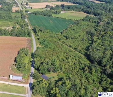 Tract 4 State Road S-21-881, Scranton, SC 29591 - photo 2