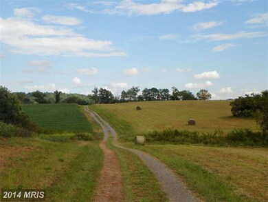 403 Ft Valley Rd, Sperryville, VA 22740 - photo 5