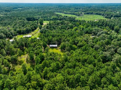 12.5+/- acres Zell Ready Rd, Andalusia, AL 36421 - photo 5