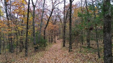 30.47 Acres Onda Mountain (Wc 213), West Fork, AR 72774 - photo 4