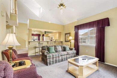 9-web-or-mls-DSC00089