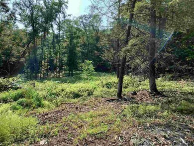 Lot 2 TBD Cherry Hill Rd, Stone Ridge, NY 12484 - photo 4