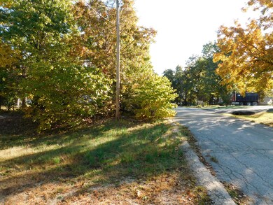 .streetview
