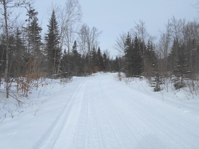 0 Washburn unit 3 4611612, Columbia, NH 03576 - photo 4
