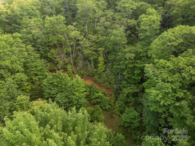 10 Turkey Trot Trail, Sylva, NC 28779 - photo 5