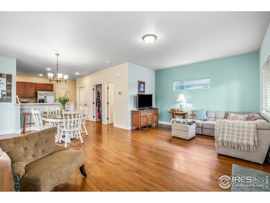 362 Cajetan St, Fort Collins, CO 80524 - photo 3