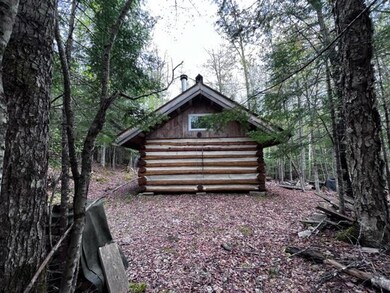 Back of Log Cabin