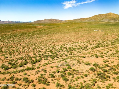 DJI_0868