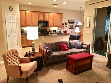 22015 Belgian Ct, Mount Dora, FL 32757 - photo 6