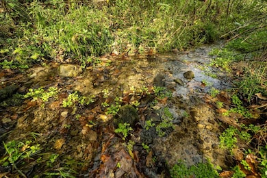 E11695 Chadwick Hollow Rd, Viola, WI 54664 - photo 3