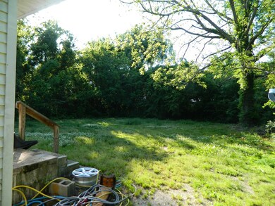 Back yard