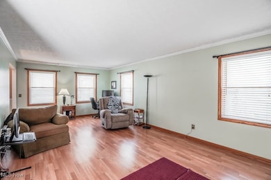 1232 Taplin Ave, Akron, OH 44319 - photo 4