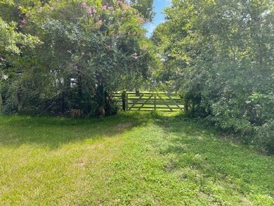 3103 County Road 310, Brazoria, TX 77422 - photo 7