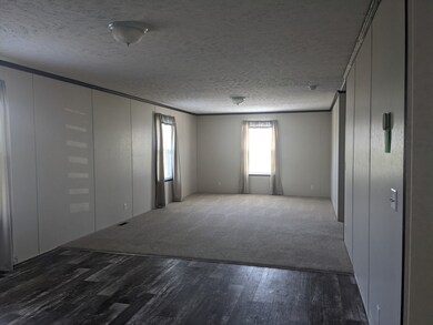 215 Borman Ave unit 215, Flushing Township, MI 48433 - photo 5