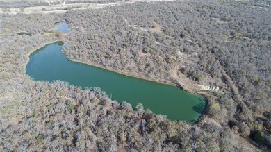 8955 Wolf Hollow, Cool, TX 76066 - photo 6