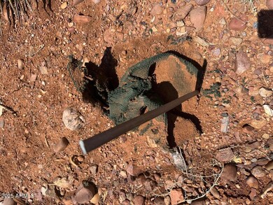 Lot #2 Power Line Rd unit S, Heber, AZ 85928 - photo 6