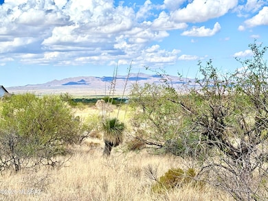 2.5 Acres W Linda Vista Rd, Oracle, AZ 85623 - photo 2