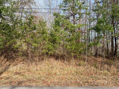 1180 Roberts Bend Rd, Burnside, KY 42519 - photo 3