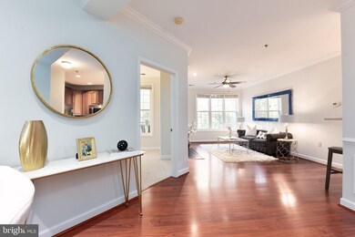 2330 14th St N unit 308, Arlington, VA 22201 - photo 5