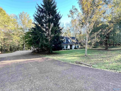 24650 Walnut Dr, Elkmont, AL 35620 - photo 4