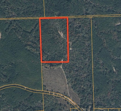 Raymond Loop, Dozier, AL 36028 - photo 4