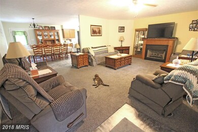 571 Brush Leaf Ln, Mount Jackson, VA 22842 - photo 4