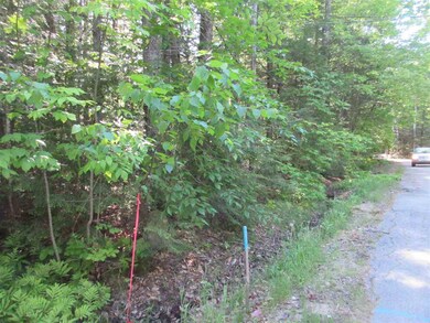 0 Algonquin unit 4696862, Bridgton, ME 04009 - photo 4