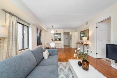 280 Harvard St unit 3A, Cambridge, MA 02139 - photo 5