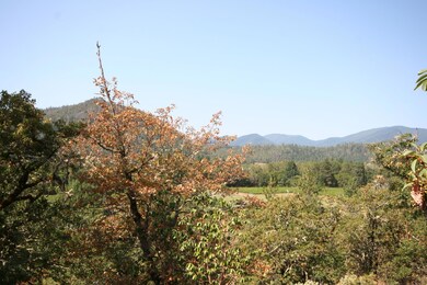 IMG_1200