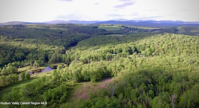 DJI_0017