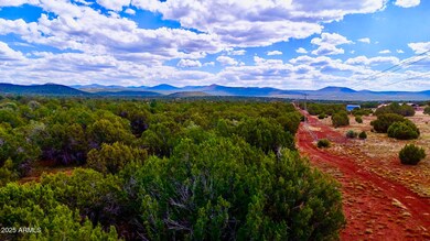 180 Co Rd 3148 Lot #1 2 1 Acres --, Vernon, AZ 85940 - photo 4