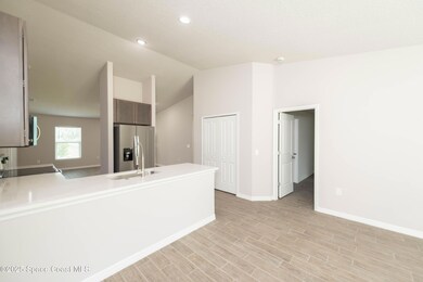 390 J T Sancho St SW, Palm Bay, FL 32908 - photo 5