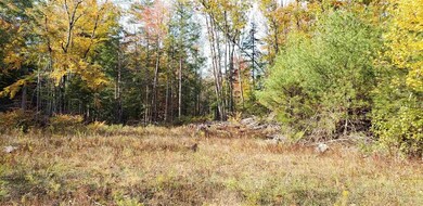 1195 Route 16 unit 1185,1195,1205,1215, Ossipee, NH 03864 - photo 5