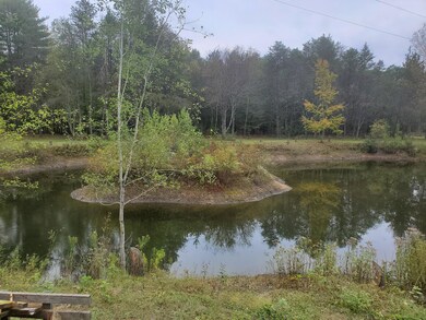 2185 W 15 Mile Rd, Bitely, MI 49309 - photo 6