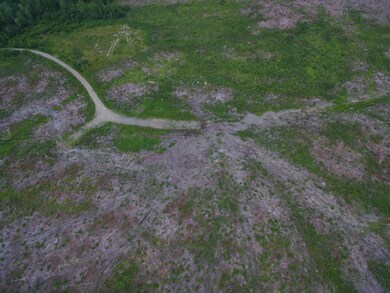 DJI_0020