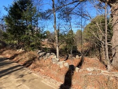 40 Hilliard Rd, Chichester, NH 03258 - photo 4