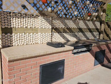 CUSTOM BLT BBQ PARTY PIT
