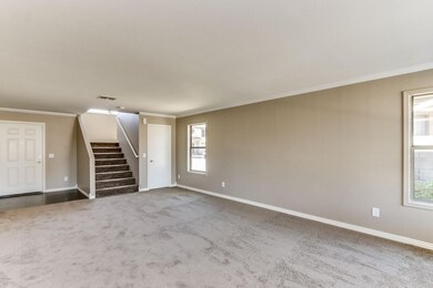 Bloomfield - 019