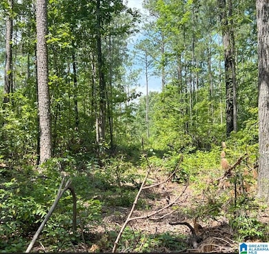 0 Fleming Rd unit 1 21425670, Vincent, AL 35178 - photo 3