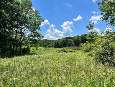 0 Stanhope Kelloggsville Rd unit 4473477, Denmark, OH 44032 - photo 6